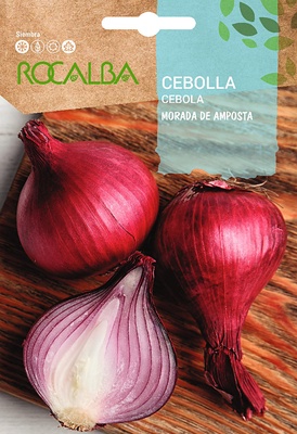 Semilla Cebolla Morada de Amposta Semilla Cebolla Morada de Amposta