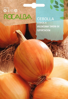 Semilla Cebolla Valenciana Tardia de Exportacion