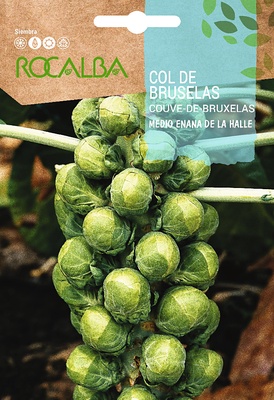 Semilla Col de Bruselas m. Enana de la Halle