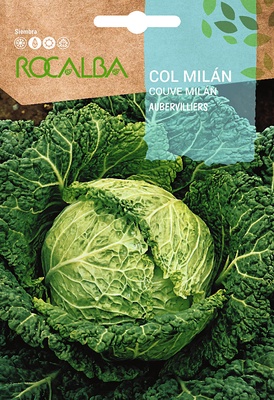 Semilla Col Milan de Aubervilliers Semilla Col Milan de Aubervilliers