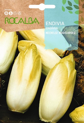 Semilla Endiba de Bruselas Semilla Endiba de Bruselas