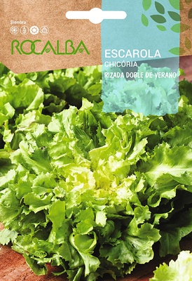Semilla Escarola Rizada Doble de Verano