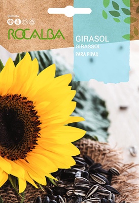 Semilla Girasol para Pipas Semilla Girasol para Pipas