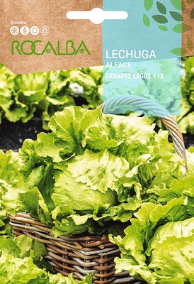 Semilla Lechuga Grandes Lagos 118