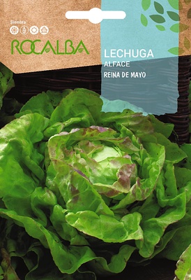 Semilla Lechuga Reina de Mayo Semilla Lechuga Reina de Mayo