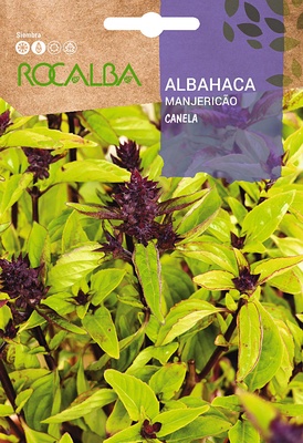 Semilla Albahaca Canela 2 gr.