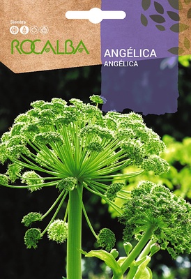 Semilla Angelica