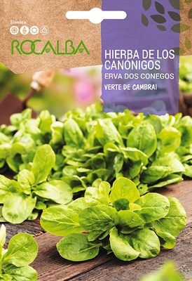 Semilla Hierba de los Canonigos Semilla Hierba de los Canonigos