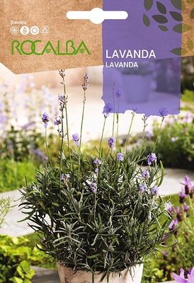 Semilla Lavanda - Espliego