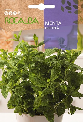 Semilla Menta