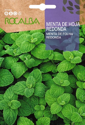 Semilla Menta de Hoja Redonda