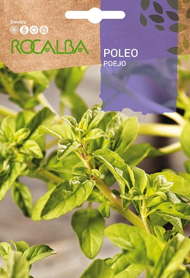 Semilla Poleo Semilla Poleo