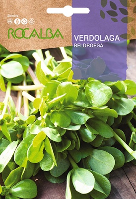 Semilla Verdolaga