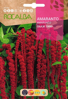 Semilla Amaranto Cola de Zorro