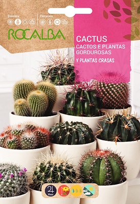 Semilla Cactus y Plantas Grasas Variado