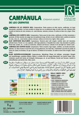 Semilla Campanula de los Carpatos, Azul