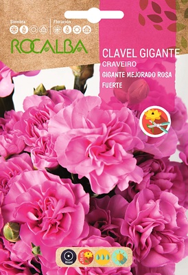 Semilla Clavel Gigante Mejorado Rosa Fuerte Semilla Clavel Gigante Mejorado Rosa Fuerte