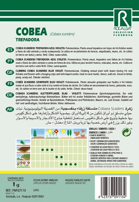 Semilla Cobea Scandens Trepadora Azul Violeta