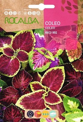 Semilla Coleos Arco Iris Variado