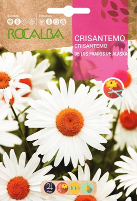 Semilla Crisantemo de los Prados Alaska Blanco