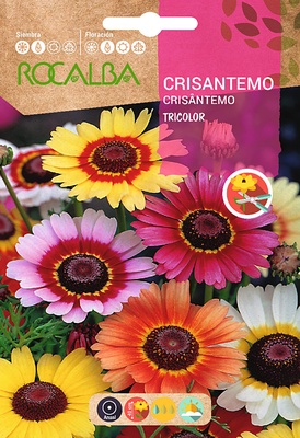 Semilla Crisantemo Tricolor Variado