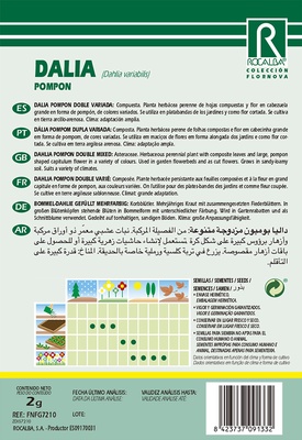 Semilla Dalia Pompon Doble Variada