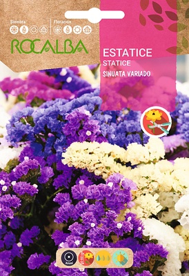 Semilla Estatice Sinuata Variada