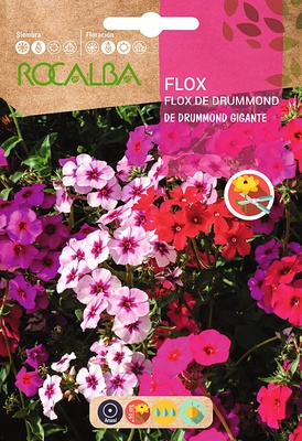 Semilla Flox de Drummond Gigante Variado