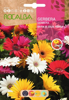 Semilla Gerbera Rayon de Soleil Hibrida Semilla Gerbera Rayon de Soleil Hibrida