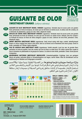Semilla Guisante de Olor Sweetheart Enano Variado