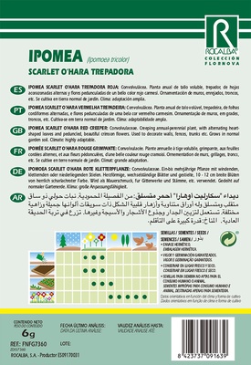 Semilla Ipomea Scarlet Ohara Trepadora Rojo