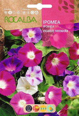Semilla Ipomea Volubilis Variada