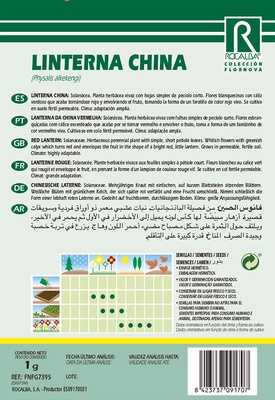 Semilla Linterna China