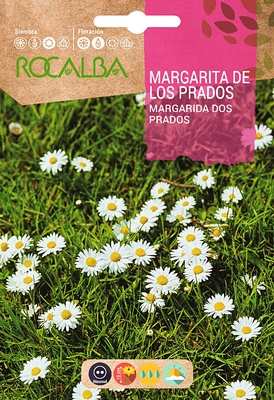 Semilla Margarita de los Prados