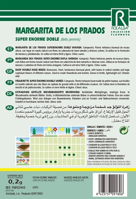 Semilla Margarita de los Prados Super Enorme