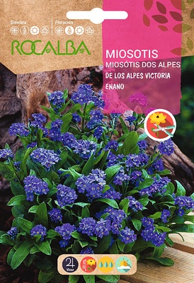 Semilla Miosotis de los Alpes Victoria Enano Azul