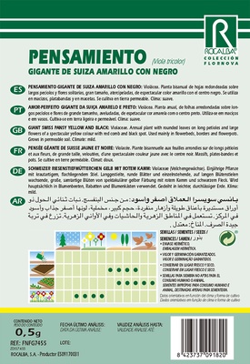 Semilla Pensamiento Gigante de Suiza Amarilla con Negro