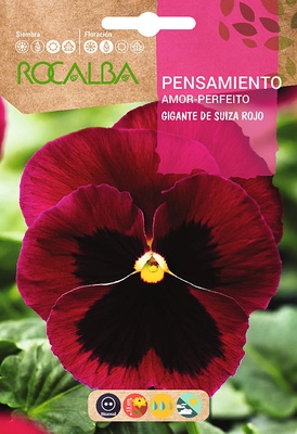 Semilla Pensamiento Gig.de Suiza,rojo con Macula