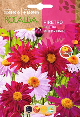 Semilla Piretro Robinson Hibrido Variado