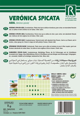 Semilla Veronica Spicata azul