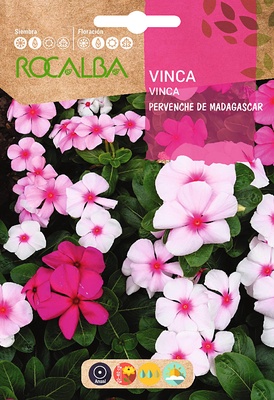 Semilla Vinca Pervenche de Madagascar, Variada