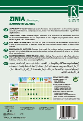 Semilla Zinia Mammouth Gigante Variada