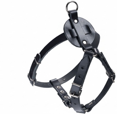 Arnes Cuero Sillero Chapon