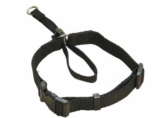Bozal Collar Nylon 32 cm.