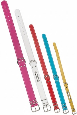 Collar Perro Serraje Plastificado 40 x 1,6 cm