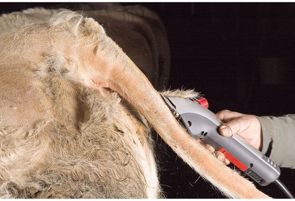 Esquiladora Heiniger Delta 3 Velocidades