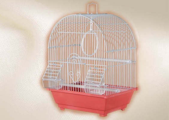 Jaula Pajaro Techo Redonda