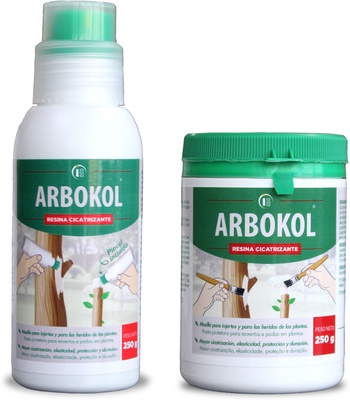 Arbokol Pasta Cicatrizante 250 gr