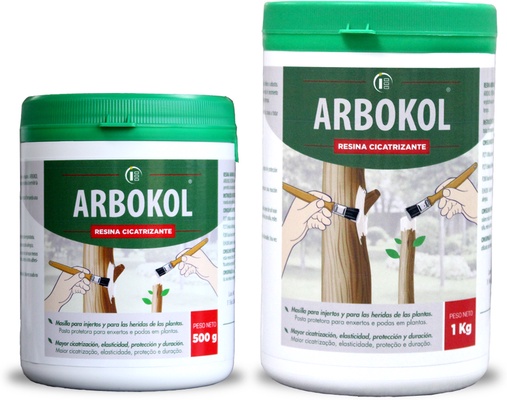 Arbokol Pasta Cicatrizante 500 gr