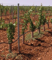 Tubo Protector Arboles Doble Capa 100cm